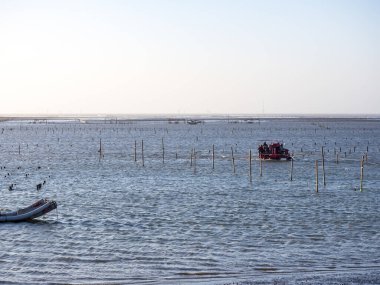 Wanggong - 3 Ocak 2021 tarihinde Wanggong, Changhua County, Tayvan 'da Intertidal Zone cephesi kuruldu. Wanggong tipik bir balıkçı köyüdür ve istiridye kültürü ve zengin doğal manzaralarıyla ünlüdür..