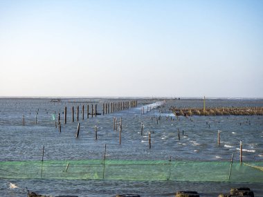 Wanggong - 3 Ocak 2021 tarihinde Wanggong, Changhua County, Tayvan 'da Intertidal Zone cephesi kuruldu. Wanggong tipik bir balıkçı köyüdür ve istiridye kültürü ve zengin doğal manzaralarıyla ünlüdür..