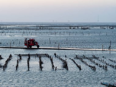 Wanggong - 3 Ocak 2021 tarihinde Wanggong, Changhua County, Tayvan 'da Intertidal Zone cephesi kuruldu. Wanggong tipik bir balıkçı köyüdür ve istiridye kültürü ve zengin doğal manzaralarıyla ünlüdür..