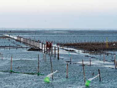 Wanggong - 3 Ocak 2021 tarihinde Wanggong, Changhua County, Tayvan 'da Intertidal Zone cephesi kuruldu. Wanggong tipik bir balıkçı köyüdür ve istiridye kültürü ve zengin doğal manzaralarıyla ünlüdür..