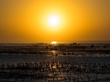Wanggong - 3 Ocak 2021 tarihinde Wanggong, Changhua County, Tayvan 'da Intertidal Zone cephesi kuruldu. Wanggong tipik bir balıkçı köyüdür ve istiridye kültürü ve zengin doğal manzaralarıyla ünlüdür..