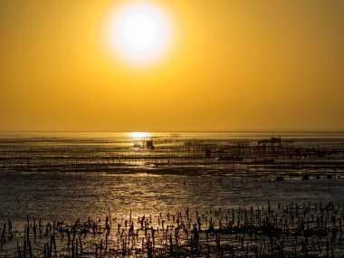 Wanggong - 3 Ocak 2021 tarihinde Wanggong, Changhua County, Tayvan 'da Intertidal Zone cephesi kuruldu. Wanggong tipik bir balıkçı köyüdür ve istiridye kültürü ve zengin doğal manzaralarıyla ünlüdür..