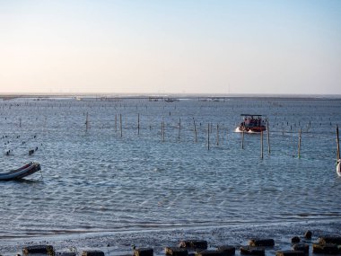 Wanggong - 3 Ocak 2021 tarihinde Wanggong, Changhua County, Tayvan 'da Intertidal Zone cephesi kuruldu. Wanggong tipik bir balıkçı köyüdür ve istiridye kültürü ve zengin doğal manzaralarıyla ünlüdür..
