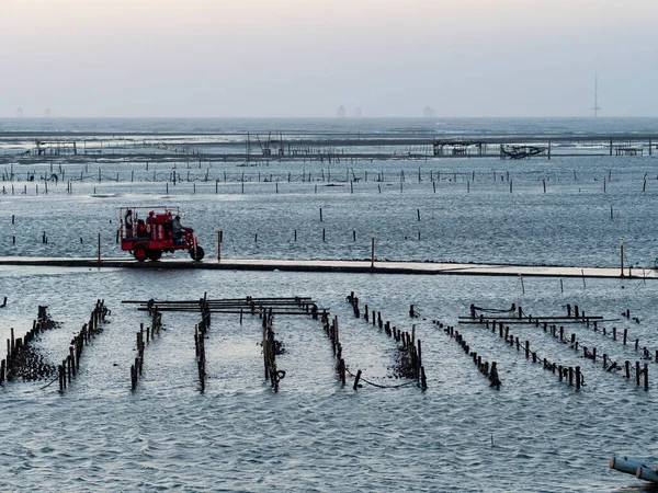 Wanggong - 3 Ocak 2021 tarihinde Wanggong, Changhua County, Tayvan 'da Intertidal Zone cephesi kuruldu. Wanggong tipik bir balıkçı köyüdür ve istiridye kültürü ve zengin doğal manzaralarıyla ünlüdür..