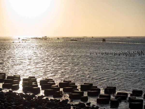 Wanggong Jan Fachada Zona Intertidal Janeiro 2021 Wanggong Changhua County — Fotografia de Stock