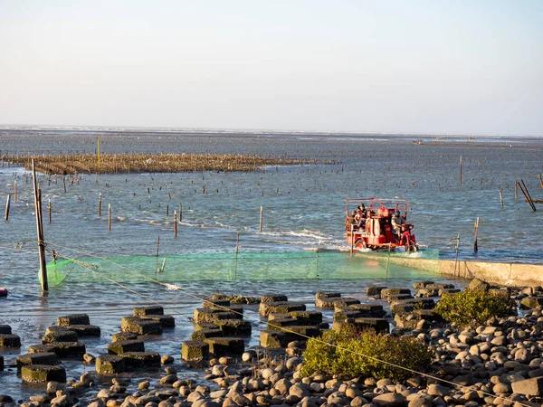 Wanggong - 3 Ocak 2021 tarihinde Wanggong, Changhua County, Tayvan 'da Intertidal Zone cephesi kuruldu. Wanggong tipik bir balıkçı köyüdür ve istiridye kültürü ve zengin doğal manzaralarıyla ünlüdür..