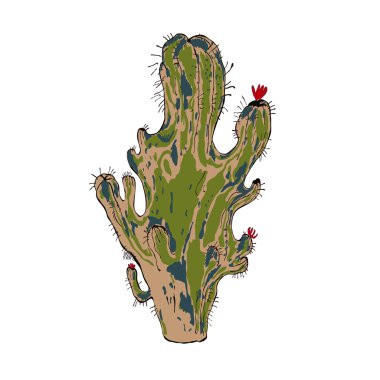 Vector illustration of cactus isolated object clipart