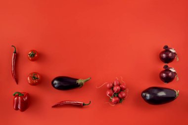 Çeşitli sebzelerle birlikte yaratıcı bir düzen. Kırmızı domatesli, biberli, patlıcanlı, soğanlı ve turplu yaratıcı düzen. Düz Yatay