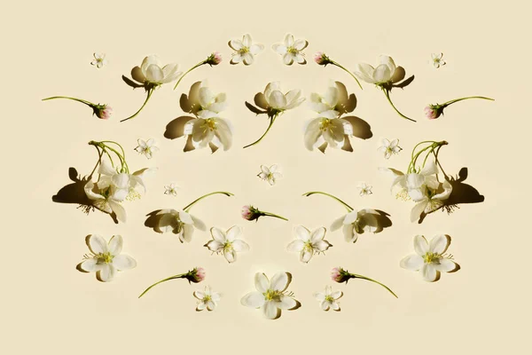 Kreatives Layout Aus Apfelblüten Auf Beigem Hintergrund Flach Lag Hintergrund — Stockfoto