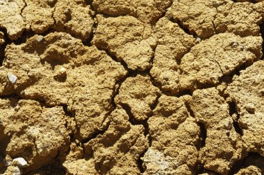 Çatallı taş dokusunun detayları. Kaya yüzeyine yakın çekim. Desenli arkaplan veya arkaplan.