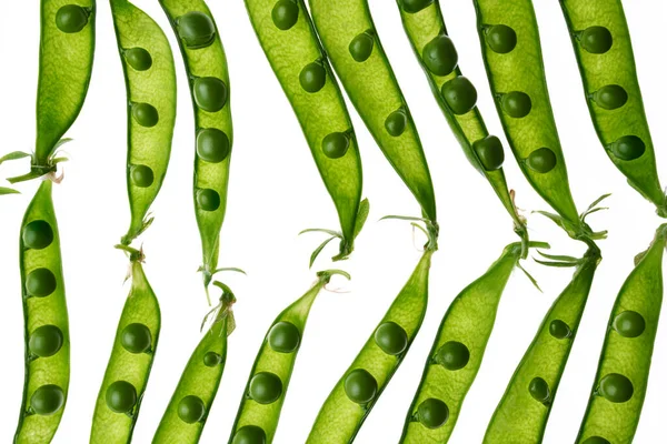 Creative Layout Opened Pea Pods Close White Background View — Stock Photo, Image