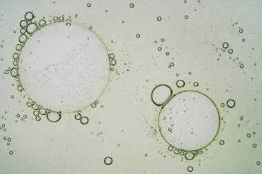 Sıvı serum, açık yeşil renkli jel kabarcıkları. Makro
