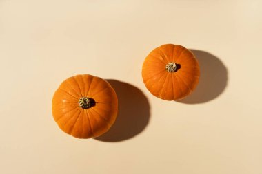 Yaratıcı sonbahar kompozisyonu. Pastel bej arka planda balkabakları. Sonbahar, Cadılar Bayramı konsepti. Düz konum, üst görünüm, kopyalama alanı