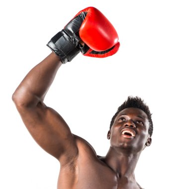 Boks eldivenli yakışıklı bir zenci.