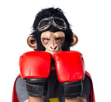 Süper kahraman maymun adam boks eldivenli