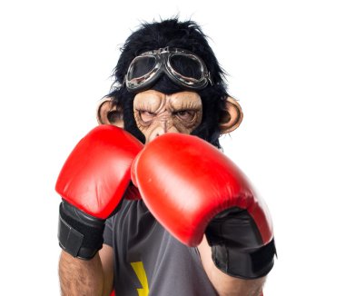 Süper kahraman maymun adam boks eldivenli