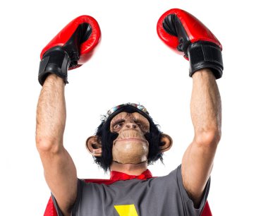 Şanslı süper kahraman maymun adam boks eldivenli
