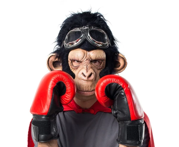 Homem macaco super-herói com luvas de boxe — Fotografia de Stock