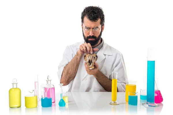 Homem cientista segurando um crânio — Fotografia de Stock