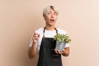 Asyalı genç bir adam izole edilmiş bir geçmişi var. Elinde bir saksı var ve onu işaret ediyor.