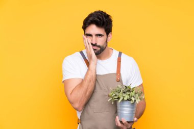Bahçıvan sakallı, izole edilmiş sarı arka planda mutsuz ve sinirli.