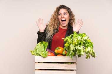 Bej arka planda izole edilmiş bir kutuda yeni toplanmış sebzelerle sürpriz bir yüz ifadesi olan çiftçi.