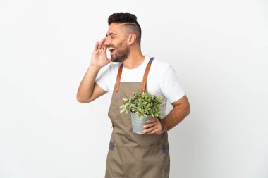 Bahçıvan beyaz arka planda bir bitki tutuyor ve ağzı sonuna kadar açık bağırıyor.