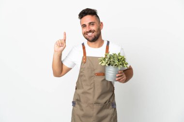 Bahçıvan beyaz arka planda bir bitki tutuyor. Harika bir fikir.