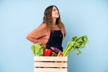 Bir kutuda taze sebze toplayan çiftçi gayret gösterdiği için sırt ağrısı çekiyor.