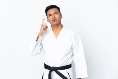 Genç Ekvador 'lu bir adam beyaz arka planda karate yapıyor.