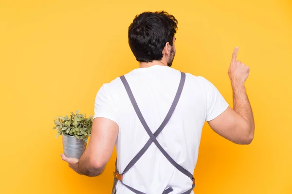 Bahçıvan Sakallı Izole Edilmiş Sarı Arkaplanı Işaret Ediyor Işaret Parmağıyla — Stok fotoğraf
