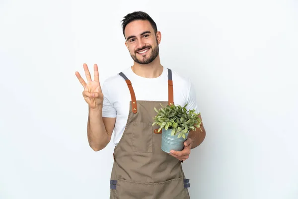 Jardinero Hombre Sosteniendo Una Planta Aislada Sobre Fondo Blanco Feliz —  Fotos de Stock