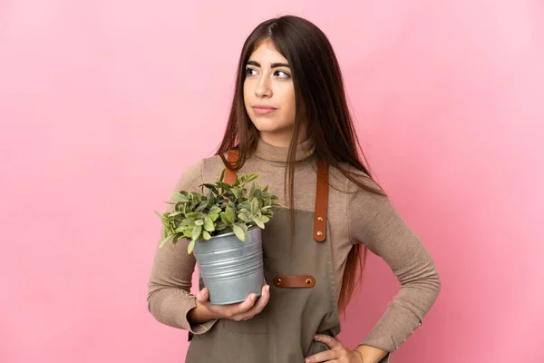Mladý Zahradník Dívka Drží Rostlina Izolované Růžovém Pozadí Při Pohledu — Stock fotografie