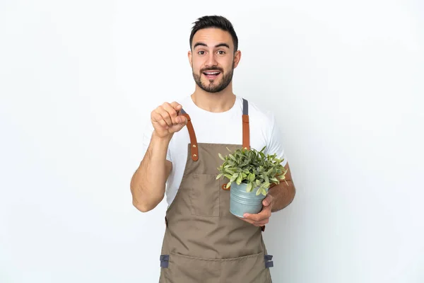 Jardineiro Homem Segurando Uma Planta Isolada Fundo Branco Surpreso Apontando — Fotografia de Stock