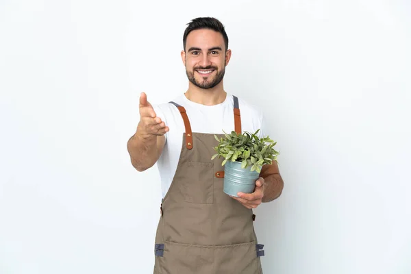 Jardineiro Homem Segurando Uma Planta Isolada Fundo Branco Apertando Mãos — Fotografia de Stock