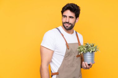Bahçıvan sakallı, izole edilmiş sarı arka planda gülüyor.