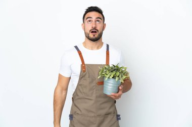 Bahçıvan elinde bir bitki tutuyor. Beyaz arka planda izole edilmiş. Yukarı bakıyor ve şaşırmış bir ifadeyle.