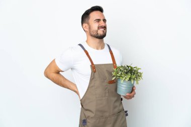 Bahçıvan beyaz arka planda bir bitki tutuyor. Çaba sarf ettiği için sırt ağrısı çekiyor.