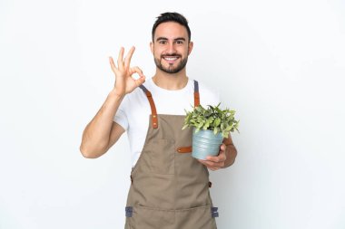 Bahçıvan arka planda izole edilmiş bir bitki tutuyor, tamam işareti parmaklarıyla gösteriyor.