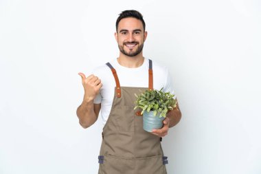 Bahçıvan beyaz arka planda izole edilmiş bir bitki tutuyor. Ürünü sunmak için yan tarafı işaret ediyor.