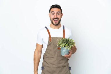 Bahçıvan beyaz arka planda saklanmış bir bitki tutuyor.