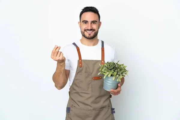 Jardinero Hombre Sosteniendo Una Planta Aislada Sobre Fondo Blanco Haciendo —  Fotos de Stock