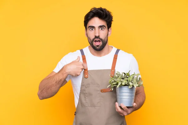 Jardinero Hombre Con Barba Sobre Fondo Amarillo Aislado Con Expresión —  Fotos de Stock