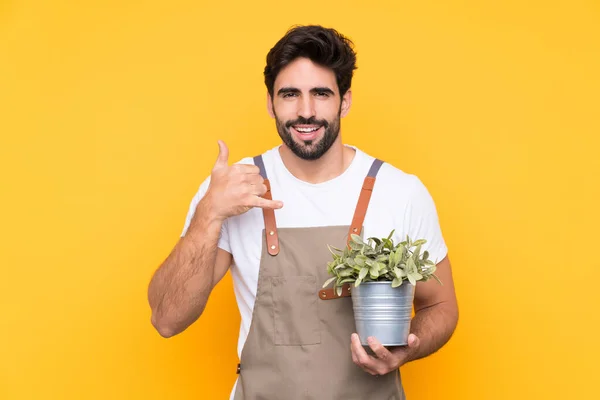 Jardinero Hombre Con Barba Sobre Aislado Fondo Amarillo Haciendo Gesto —  Fotos de Stock