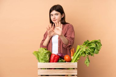 Genç çiftçi kız taze toplanmış sebzelerle bir kutuda gergin ellerle öne doğru uzanıyor.