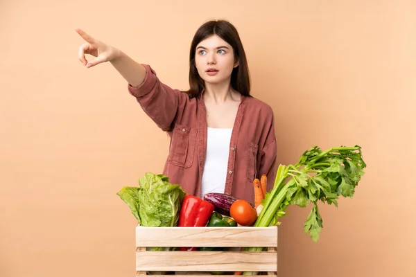 Jong Boer Meisje Met Vers Geplukt Groenten Een Doos Wijzend — Stockfoto