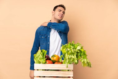 Bej arka planda izole bir kutuda taze sebze toplayan çiftçi çabalarından dolayı omuz ağrısı çekiyor.