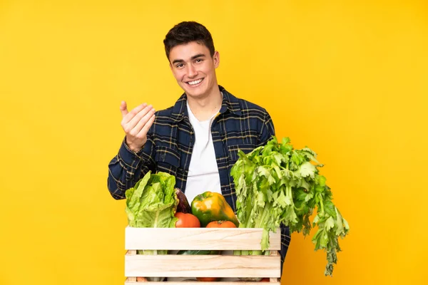 Adolescente Agricultor Homem Com Legumes Recém Colhidos Uma Caixa Convidando — Fotografia de Stock