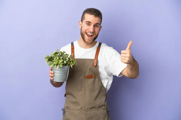 Jardinero Hombre Caucásico Sosteniendo Una Planta Aislada Sobre Fondo Amarillo —  Fotos de Stock