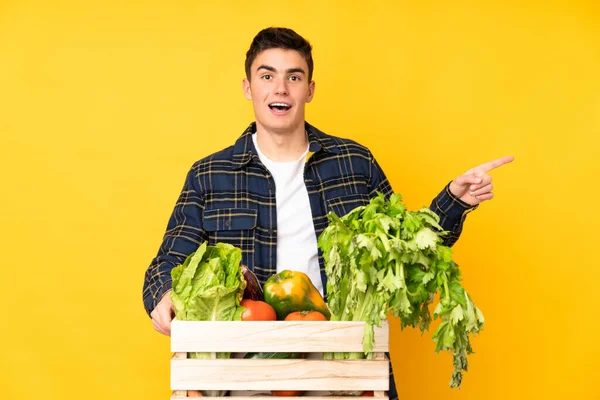 Adolescente Agricultor Homem Com Legumes Recém Colhidos Uma Caixa Surpreso — Fotografia de Stock